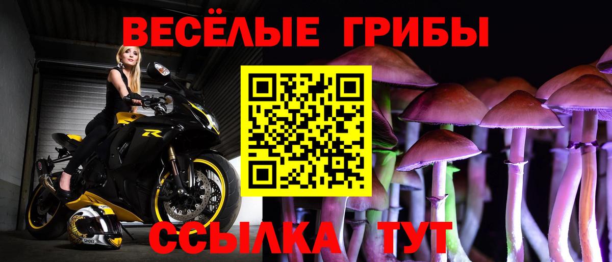 Нижний Новгород  Галлюциногенные грибы мицелий  Вход с VPN 